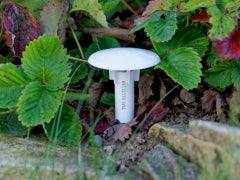 Temperaturdatenlogger TMS Thermologger in Gartenboden installiert.