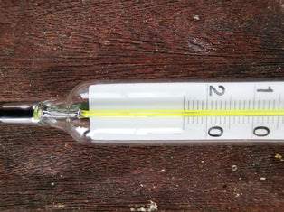 Ersatzthermometer für Gärtnereithermometer 