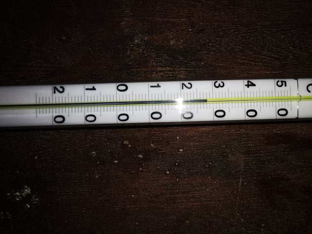 Ersatzthermometer für Gärtnereithermometer 