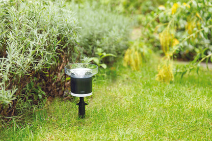 Netatmo Regenmesser im Garten installiert, misst Niederschlagsmenge; kompatibel mit Netatmo Wetterstation.